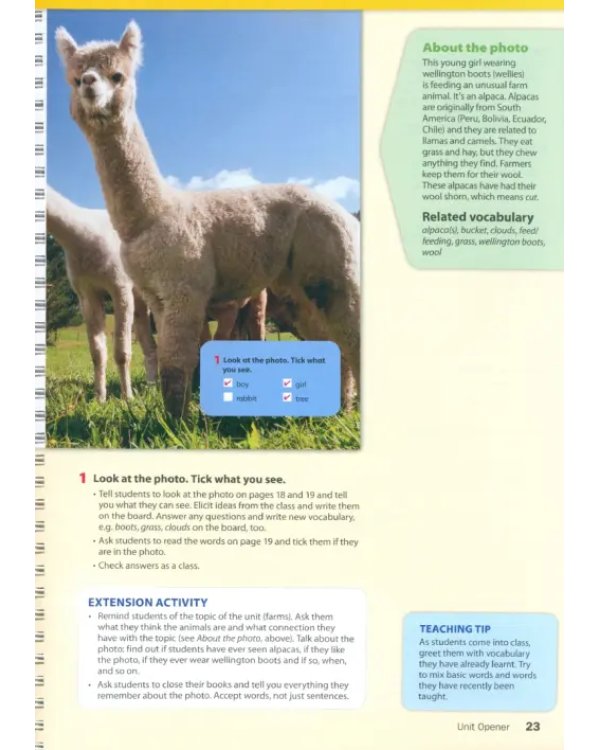 Wonderful World 2. 2nd Edition. Lesson Planner + Class Audio CD, DVD + Teacher's Resource CD-ROM