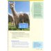 Wonderful World 2. 2nd Edition. Lesson Planner + Class Audio CD, DVD + Teacher's Resource CD-ROM