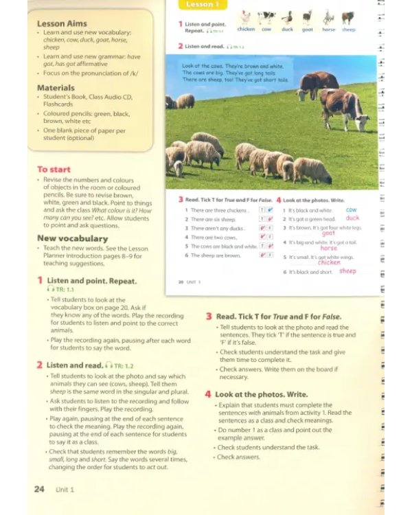 Wonderful World 2. 2nd Edition. Lesson Planner + Class Audio CD, DVD + Teacher's Resource CD-ROM