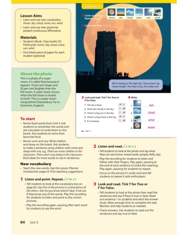 Wonderful World 2. 2nd Edition. Lesson Planner + Class Audio CD, DVD + Teacher's Resource CD-ROM