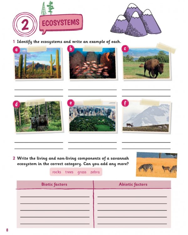 Science Skills. Level 5. Activity Book with Online Activities