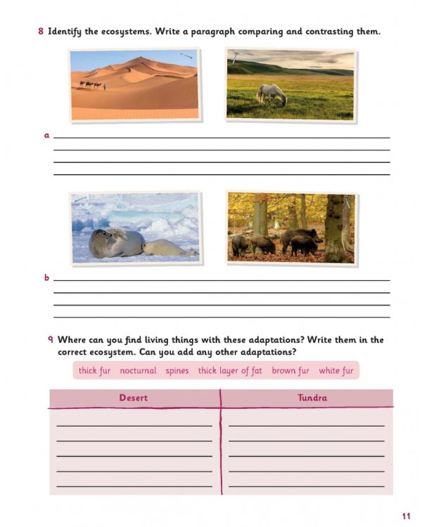Science Skills. Level 5. Activity Book with Online Activities