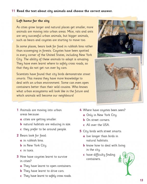 Science Skills. Level 5. Activity Book with Online Activities