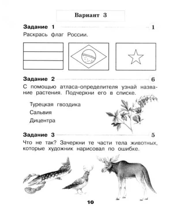 Окружающий мир. 1 класс. Проверочные работы. ФГОС