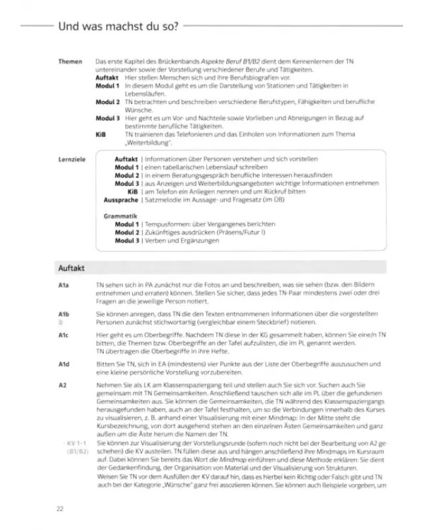 Aspekte Beruf B1/B2 Brückenelement und B2. Deutsch für Berufssprachkurse. Unterrichtshandbuch