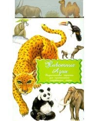 Животные Азии. Дидактические карточки для ознакомления с окружающим миром