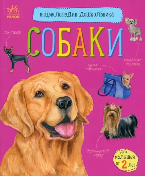 Собаки. Энциклопедия дошкольника Собаки. Энциклопедия дошкольника