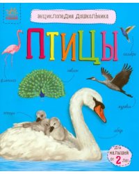 Птицы. Энциклопедия дошкольника