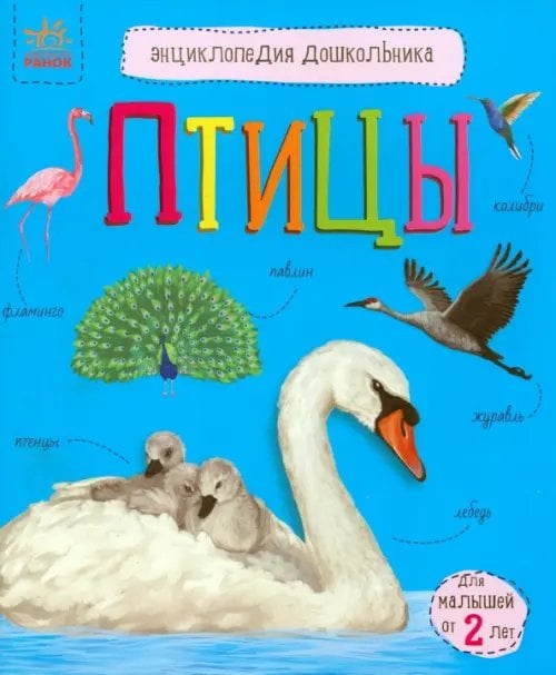 Птицы. Энциклопедия дошкольника Птицы. Энциклопедия дошкольника