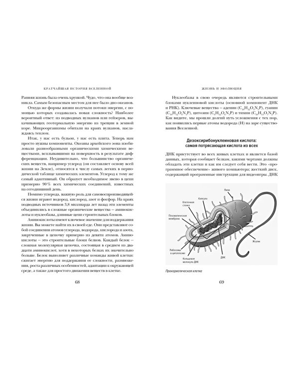 Кратчайшая история Вселенной. От Большого взрыва до наших дней