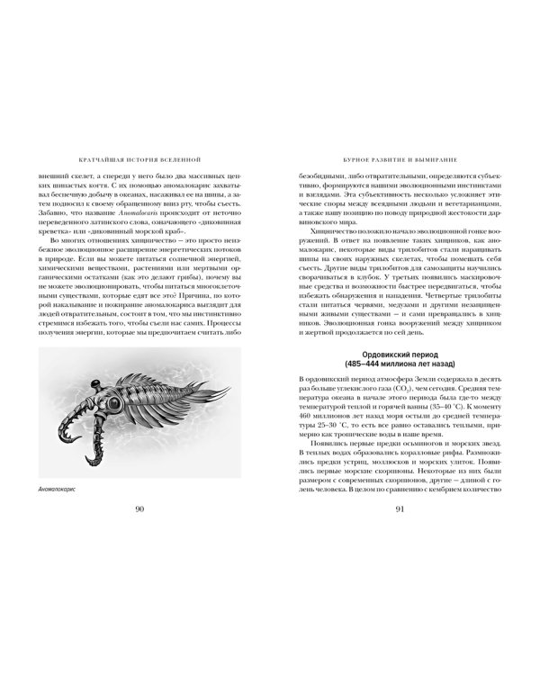 Кратчайшая история Вселенной. От Большого взрыва до наших дней