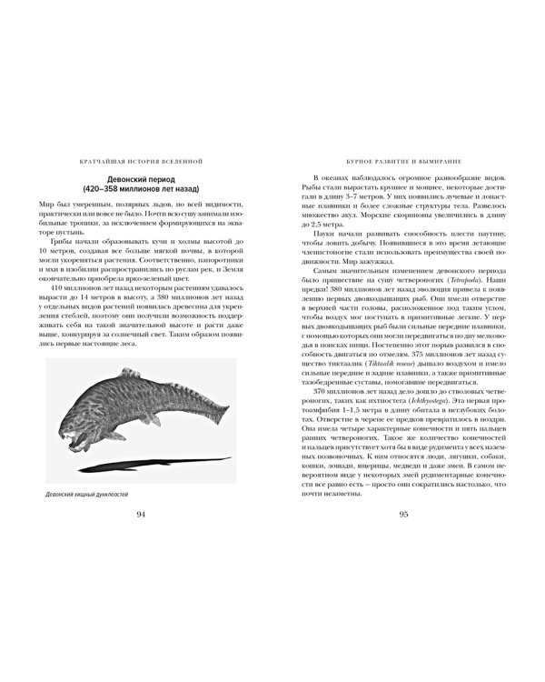 Кратчайшая история Вселенной. От Большого взрыва до наших дней