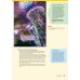 Wonderful World 6. 2nd Edition. Lesson Planner + Class Audio CD, DVD + Teacher's Resource CD-ROM