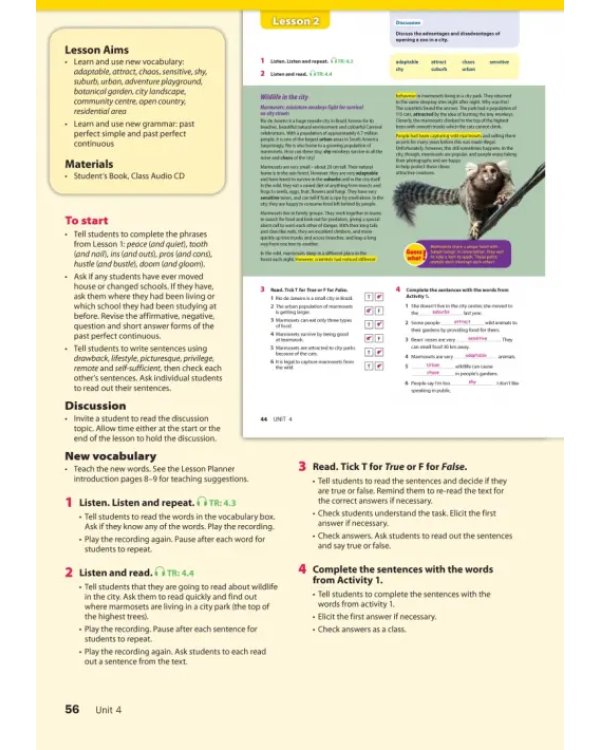 Wonderful World 6. 2nd Edition. Lesson Planner + Class Audio CD, DVD + Teacher's Resource CD-ROM