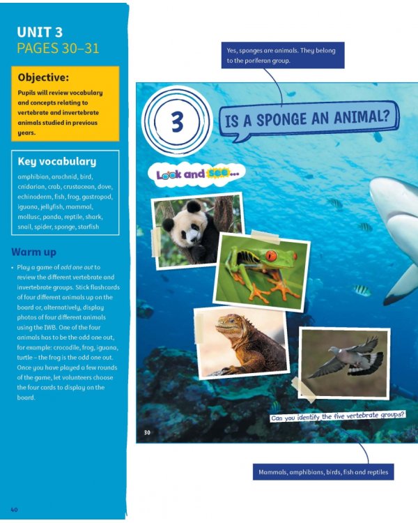 Science Skills. Level 4. Teacher's Book with Downloadable Audio