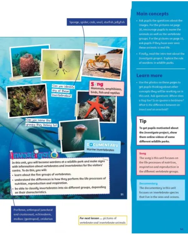 Science Skills. Level 4. Teacher's Book with Downloadable Audio