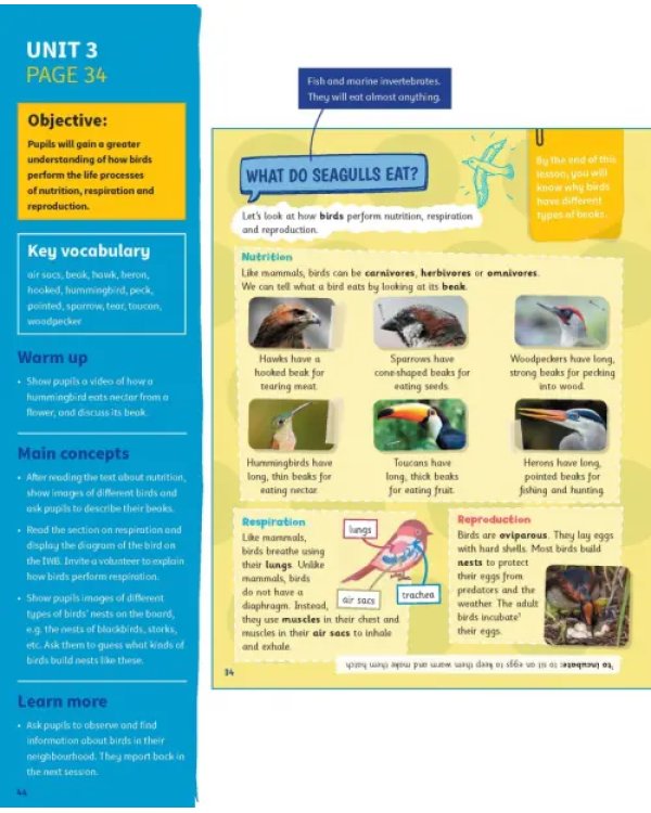 Science Skills. Level 4. Teacher's Book with Downloadable Audio