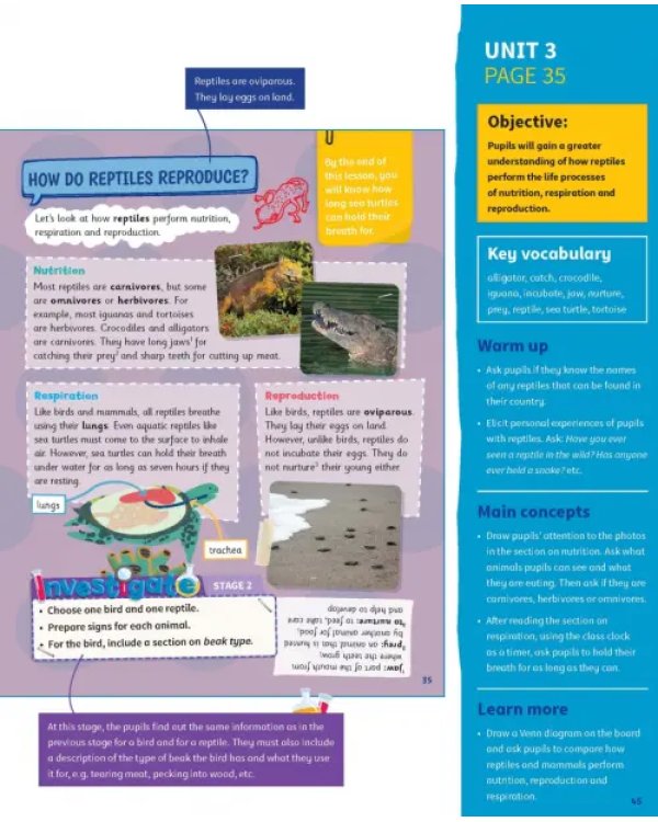 Science Skills. Level 4. Teacher's Book with Downloadable Audio