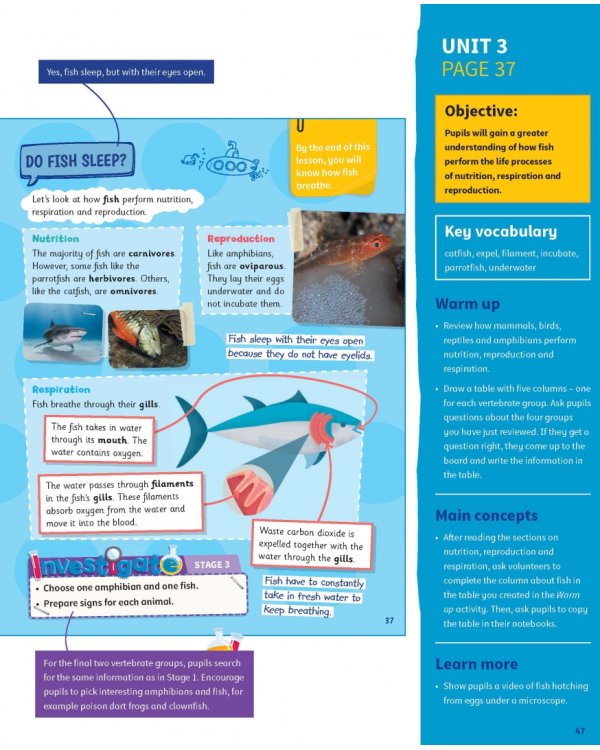 Science Skills. Level 4. Teacher's Book with Downloadable Audio