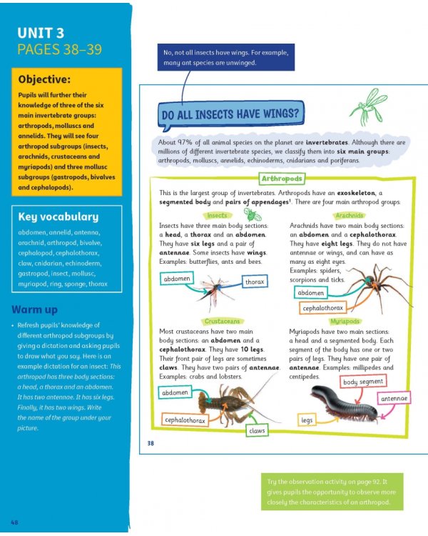 Science Skills. Level 4. Teacher's Book with Downloadable Audio
