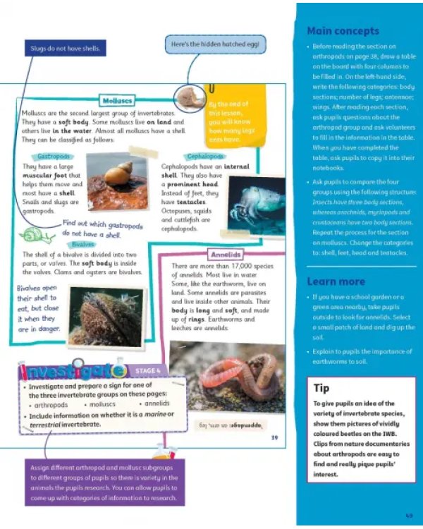 Science Skills. Level 4. Teacher's Book with Downloadable Audio