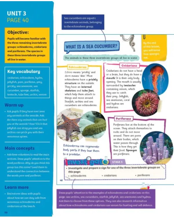 Science Skills. Level 4. Teacher's Book with Downloadable Audio