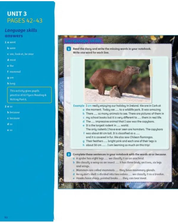Science Skills. Level 4. Teacher's Book with Downloadable Audio