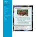 Science Skills. Level 4. Teacher's Book with Downloadable Audio