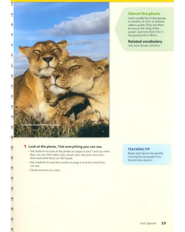 Дополнительное изображение книги «Wonderful World 3. 2nd Edition. Lesson Planner + Class Audio CD, DVD + Teacher's Resource CD-ROM»