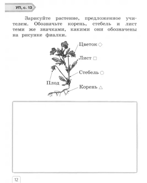 Окружающий мир. 1 класс. Рабочая тетрадь. В 2-х частях. Часть 1
