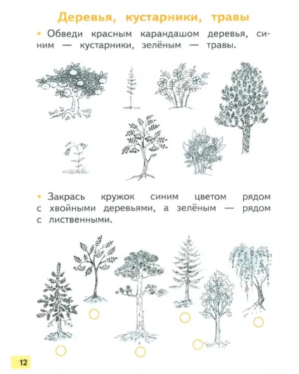 Окружающий мир. 1 класс. Рабочая тетрадь. В 2-х частях. Часть 2