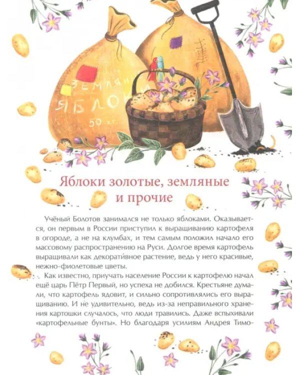 Эх, яблочко! Неизвестные истории известного фрукта