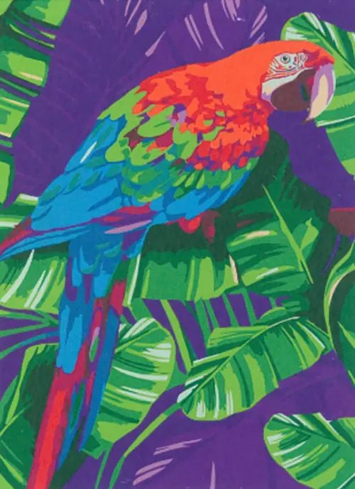 Рисуем вместе Картина по номерам на холсте с подрамником Попугай