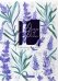 Папка-уголок Lavender, A4, в ассортименте