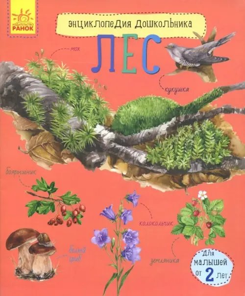 Энциклопедия дошкольника Лес