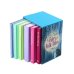 The Classic Fairy &amp; Folk Tales Collection Box Set