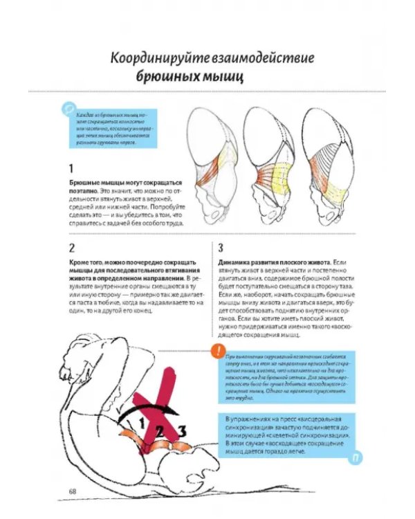 Анатомия пресса