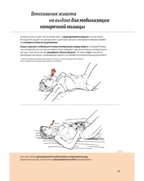 Анатомия пресса