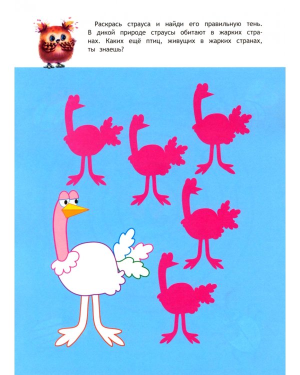 Дополнительное изображение книги «Школа маленьких совят 5-6 лет. Память, внимание, мышление»