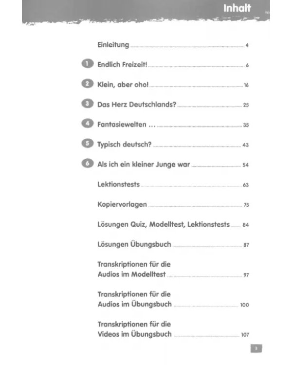 Fantastisch! B1. Deutsch fur Jugendliche. Lehrerhandbuch mit MP3-CD und DVD-ROM