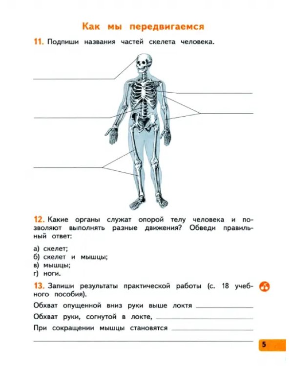 Окружающий мир. 3 класс. Рабочая тетрадь. В 2-х частях. Часть 2