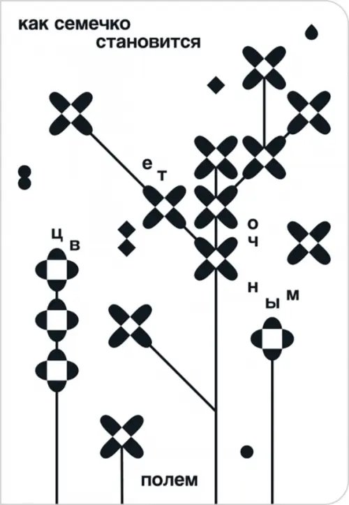 Как семечко становится цветочным полем Как семечко становится цветочным полем