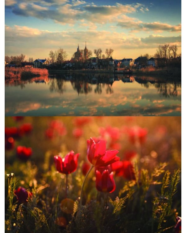 Праздник по рецепту. Ваши любимые блюда от шеф-поваров Золотого Кольца России