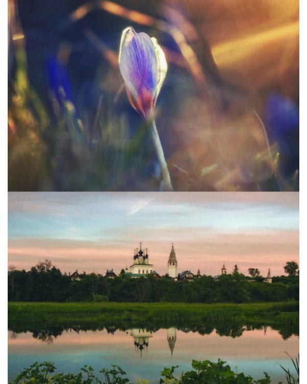 Праздник по рецепту. Ваши любимые блюда от шеф-поваров Золотого Кольца России