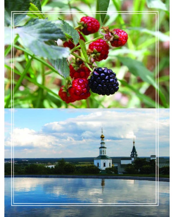 Праздник по рецепту. Ваши любимые блюда от шеф-поваров Золотого Кольца России