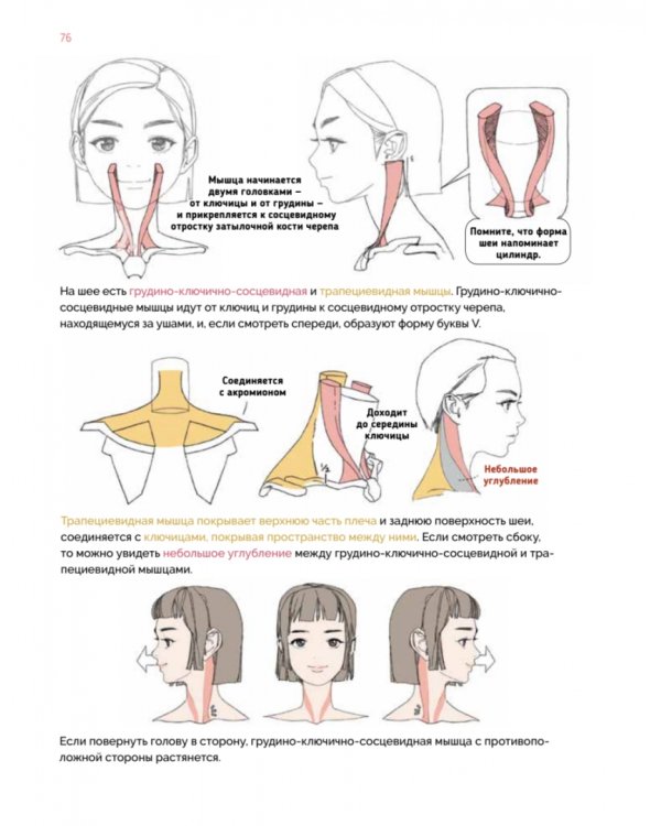 Дизайн женских аниме-персонажей. Туториалы от азиатских художников