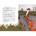 Исчезновение в полночь
