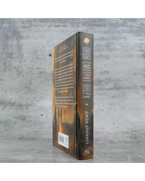 Овцы смотрят вверх