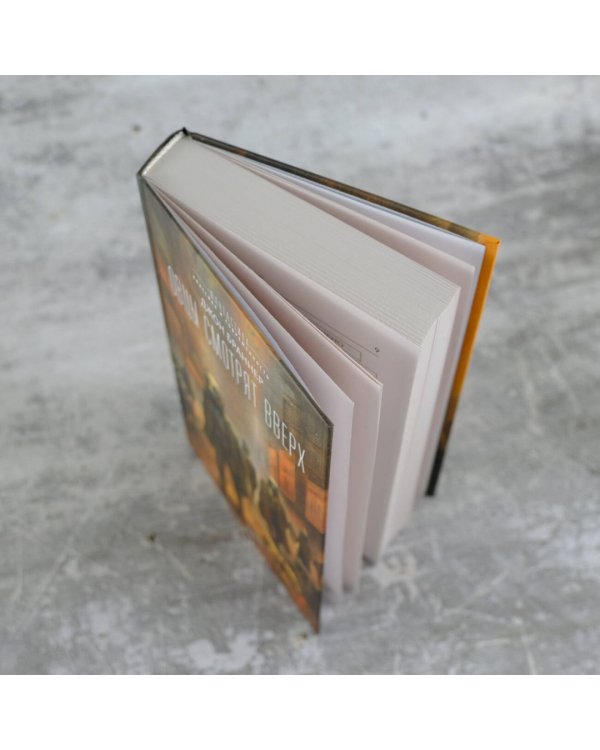 Овцы смотрят вверх