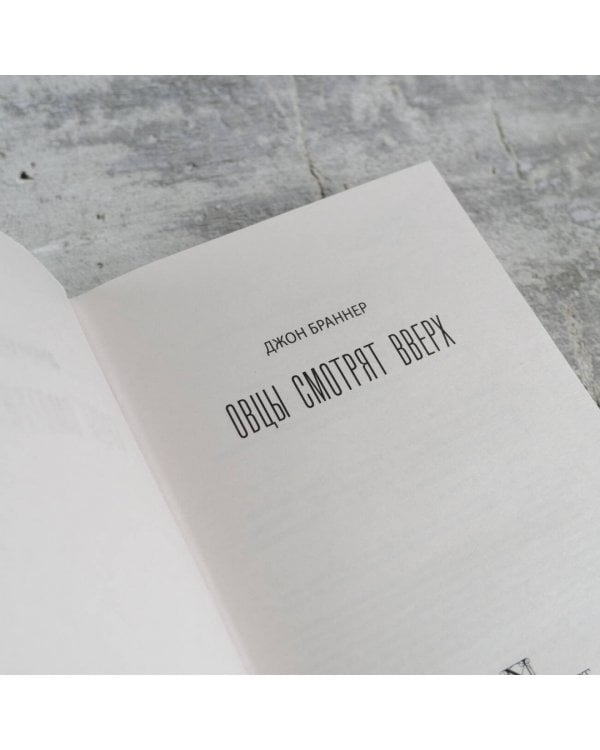 Овцы смотрят вверх